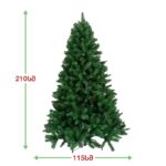 ნაძვის ხე ლონდონი 210სმ (BS-210) - Image 3